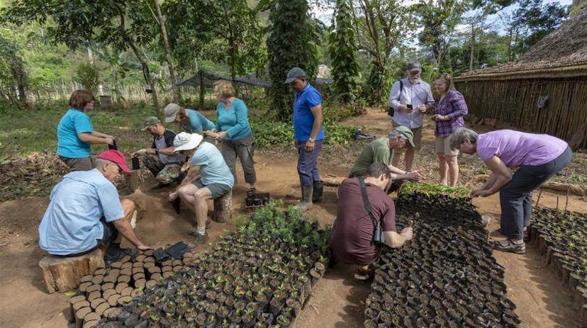 A group of people plant seedlings on a trip organized by Earthwatch. Photo credit Dr Natalia Rossi