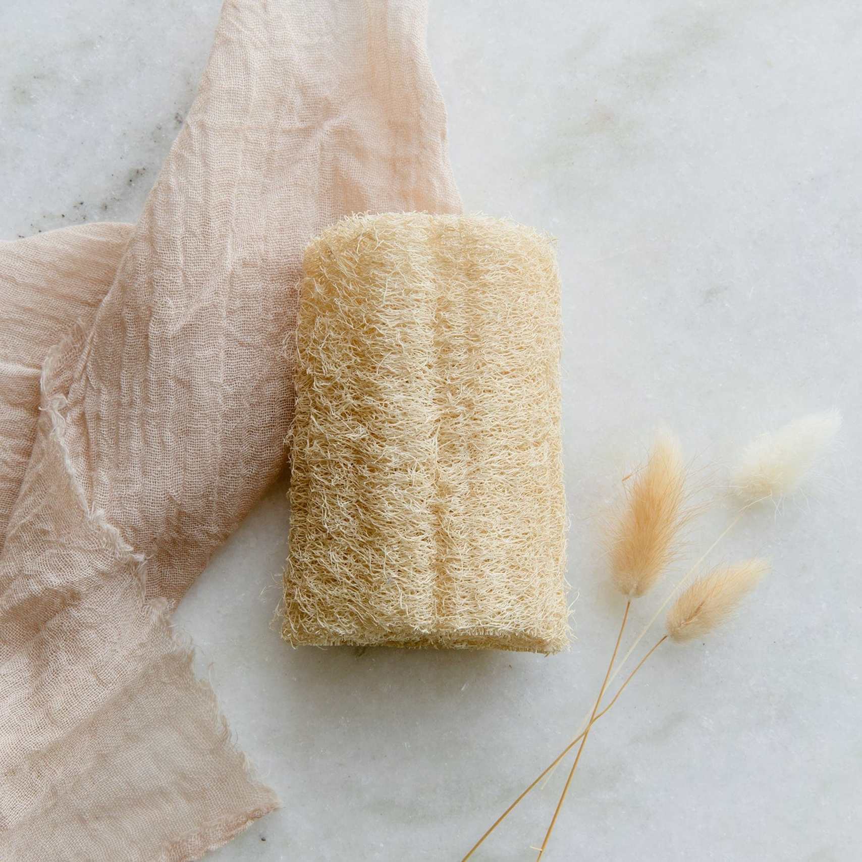 loofah sponge