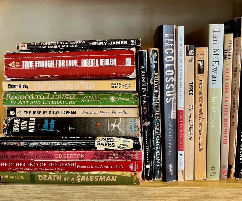 A shelf of about 30 heavily used books with creased spines, mostly fiction titles, with authors including Robert A. Heinlein, Aldous Huxley, Henry James, Arthur Miller, Marshall Goldberg, Herman Melville, Lorraine Hansberry, and more.