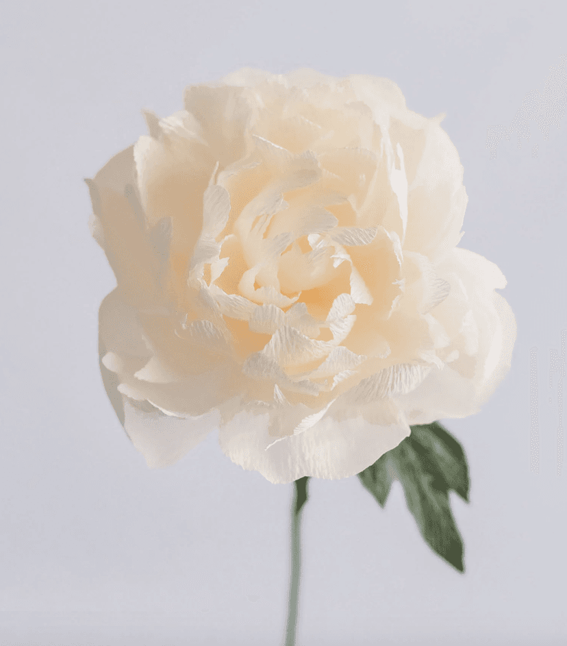 Gallery image for Unwilted Paper Bouquets