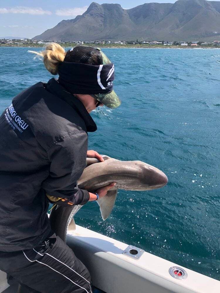 The photo shows a woman holding a small (3-4’) gray shark over the side of a boat. The woman is wearing black and photographed from behind, and it looks as though she is about to drop the shark into the ocean. In the foreground is blue-green water and then a town, with mountains behind it.