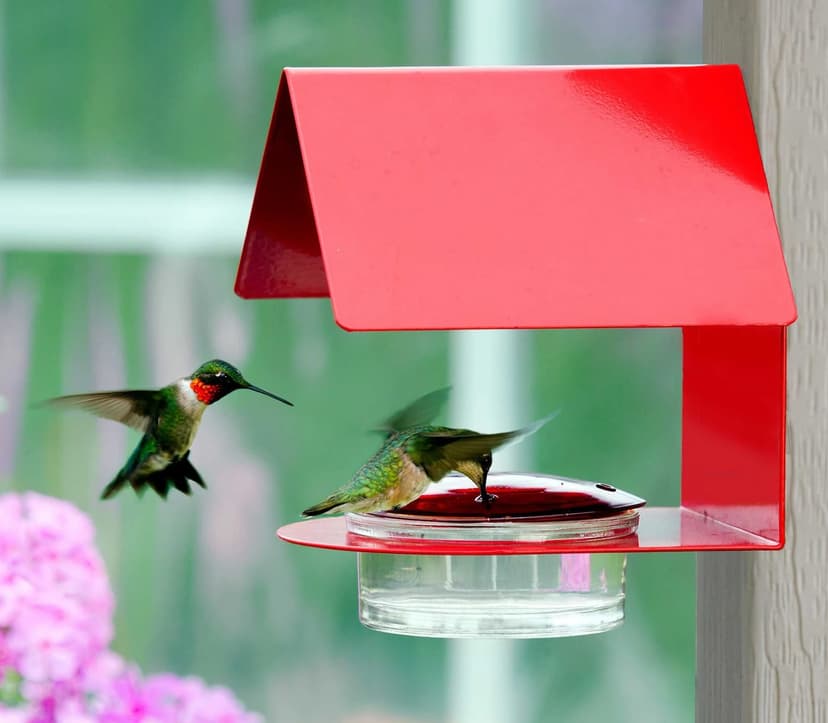 A red metal and glass birdhouse with two green hummingbirds flying near it in front of pink flowers.