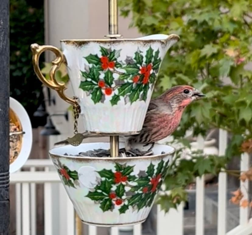 Gallery image for Birdhouses and Birdfeeders on Etsy