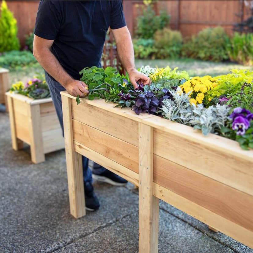 A man stands in a backyard tending plants in raised wooden planter.