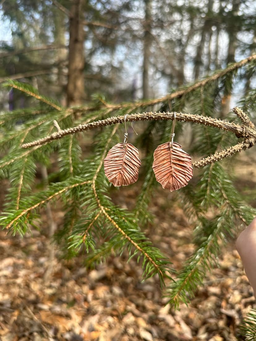 Copper earrings hang on a tree.